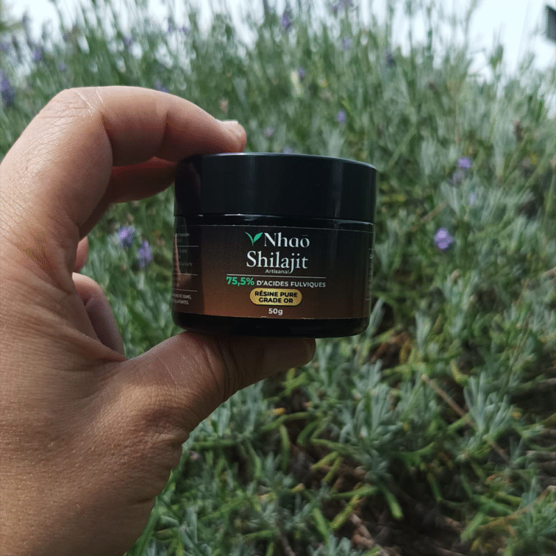 Shillajit résine pure